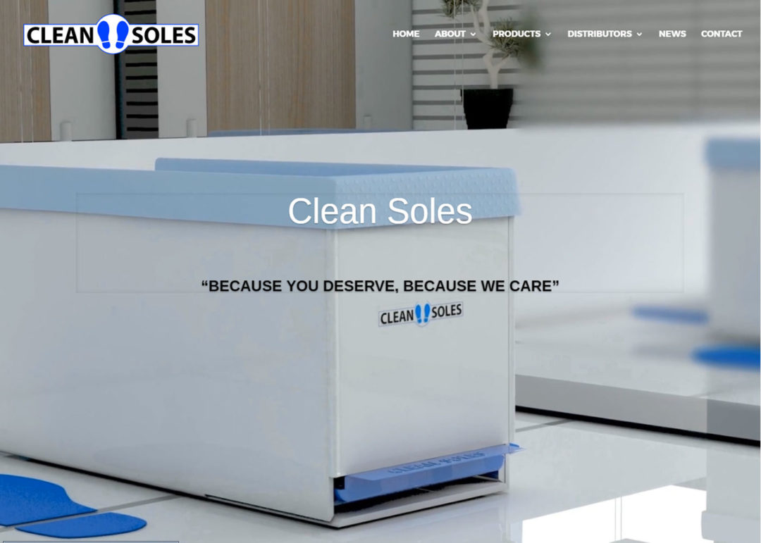 Web Design And Development Project Clean Soles