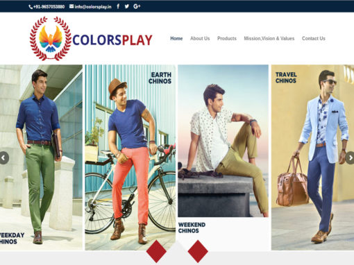 Web Design And Development Project Colorsplay