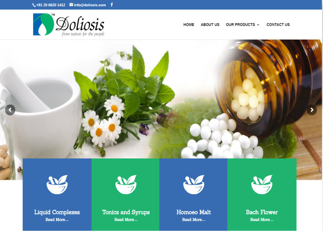 Web Design And Development Project Doliosis