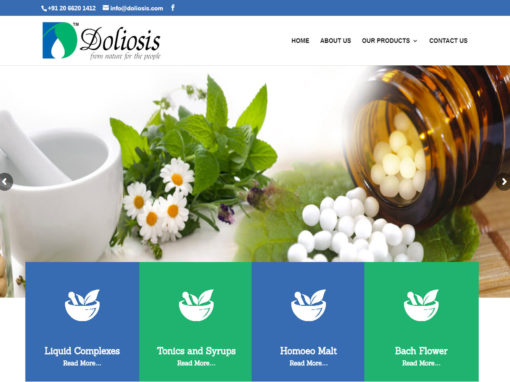 Web Design And Development Project Doliosis