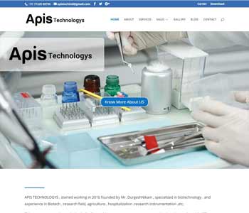 Web Design And Development project apistechnologys