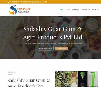 Web Design And Development project Sadashiv Guar Gum & Agro Product?s Pvt Ltd