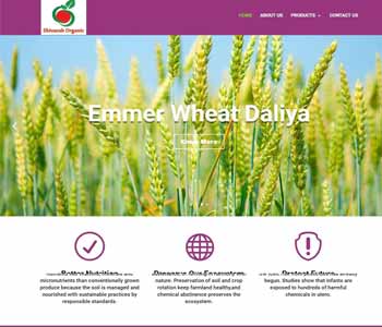 Web Design And Development project shivanshorganic