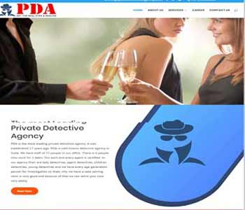 Web Design And Development Project Pune Detective Agency